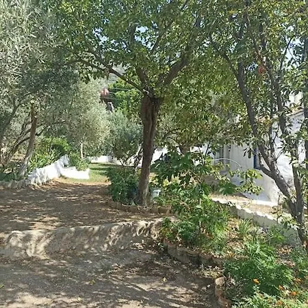 Feriehus Pasha House *