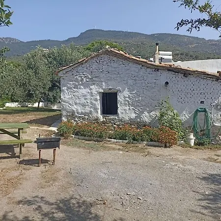 Pasha House