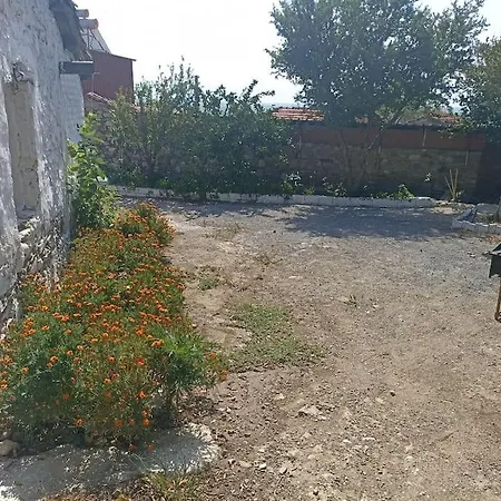 Pasha House *