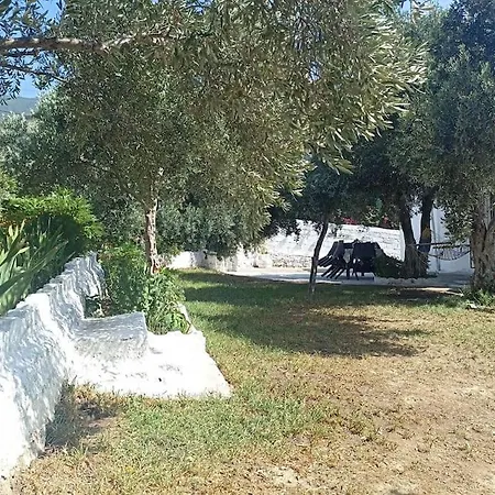 Pasha House