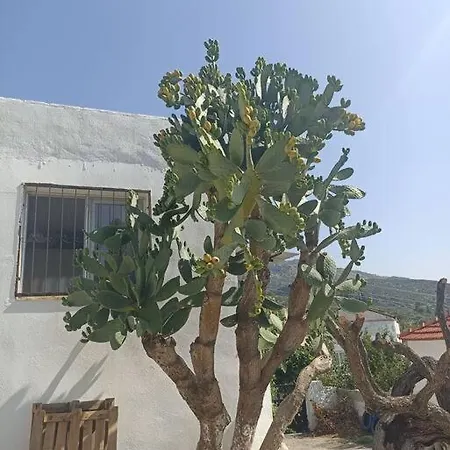 Pasha House