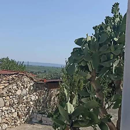 Feriehus Pasha House *