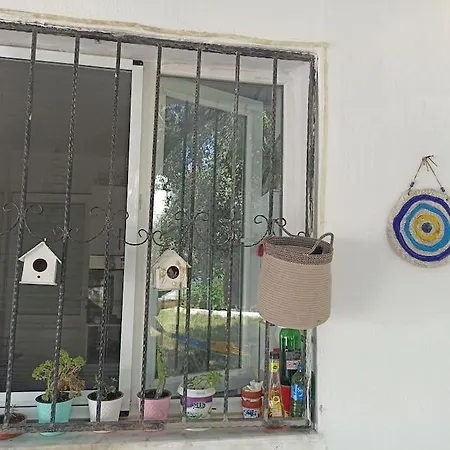 Pasha House Soke