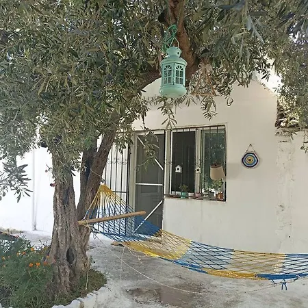 Pasha House *