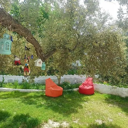 Pasha House *
